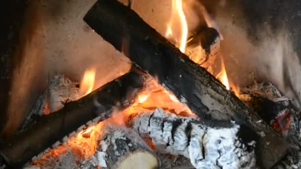 Log Kayu Terbakar Dalam Api — Stok Video