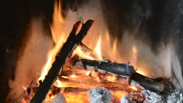 Troncos Madera Ardiendo Fuego — Vídeo de stock