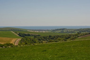 Worthing, West Sussex, İngiltere yakınlarındaki Güney Downs 'da tarlalar ve tarım arazileri