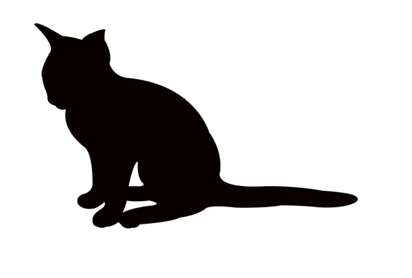 猫的身体剪影向量 — 图库矢量图片