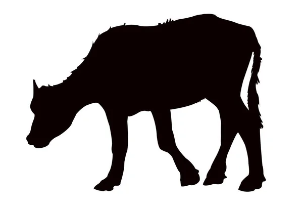 Cow Body Silhouette Vector — Stock Vector