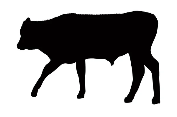 Vecteur Silhouette Corps Vache — Image vectorielle