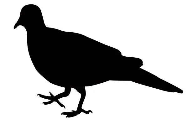 Bird Body Silhouette Vector — Stock Vector