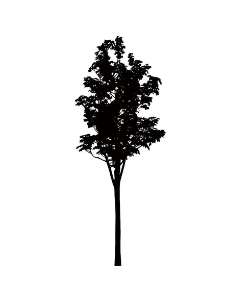 Tree Silhouette Vector — Stock Vector