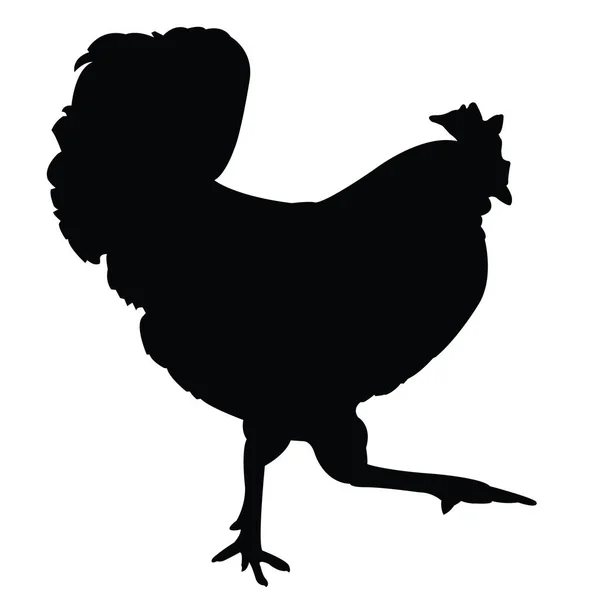 Chicken Body Silhouette Vector — Stock Vector