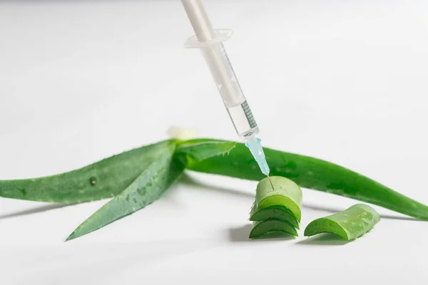 Aloe cosmetics. natural cosmetics. Aloe syringe.