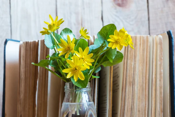 yellow flowers and open book. flowers and book.