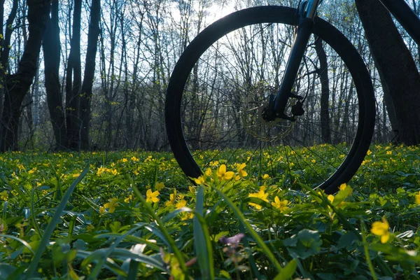 Fahrrad im Wald zwischen den Blumen -gelbe Blumen. — Stockfoto