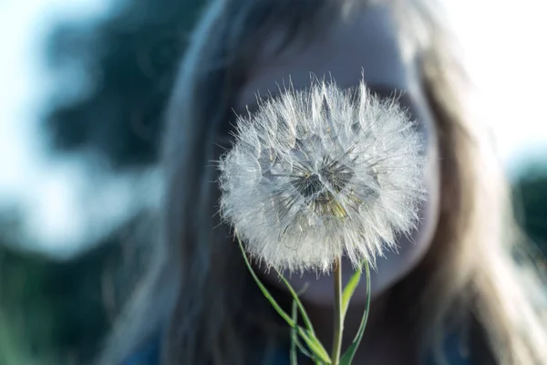 Une fleur dans les mains d'un enfant . — Photo