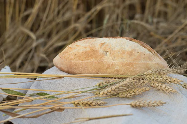 Une miche de pain est une épis de blé . — Photo