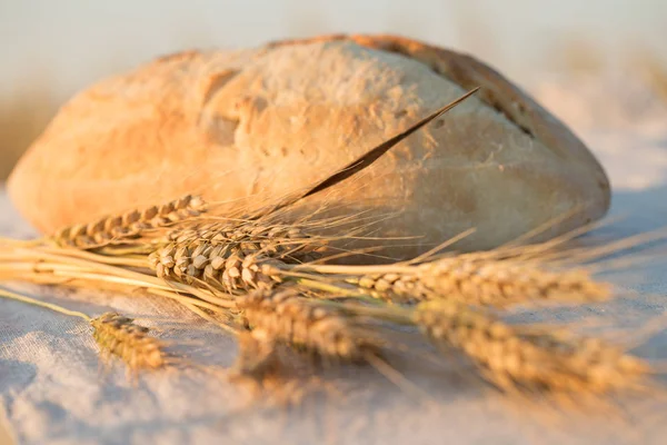 Une miche de pain au soleil . — Photo