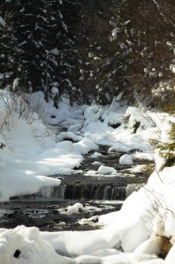 Su Nehri ve Karpat Dağları, Pylypets, Ukrayna karla kaplı kaya 