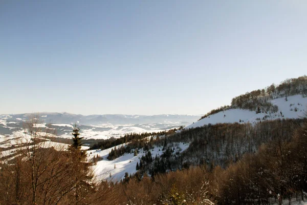 Vinterlandskap Bergen Pylypets Ukraina — Stockfoto