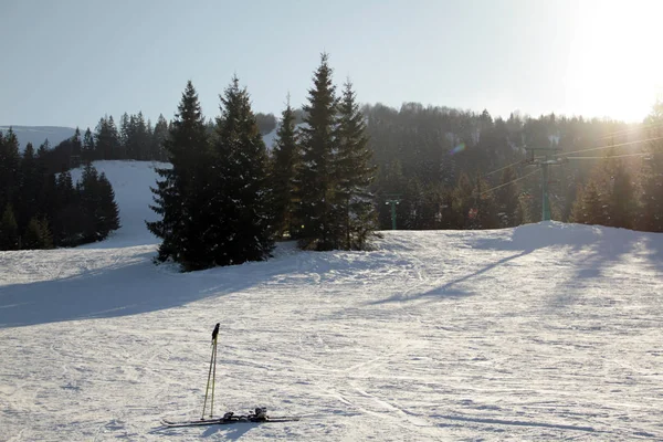 Ski and ski poles against the background of christmas trees in mountains, Pylypets, Ukraine
