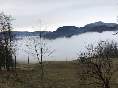 Adolf Hitler'in residence 