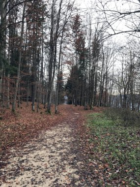 Adolf Hitler'in residence 