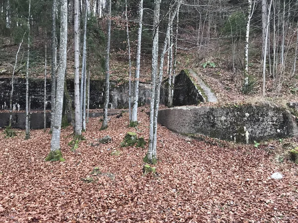 Adolf Hitler'in residence 