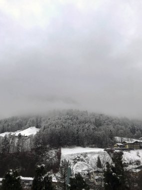 Donmuş kış orman arka plan gri gökyüzü ve sis, Berchtesgaden, Bavyera, Almanya ile kaplı Dağları üzerinde