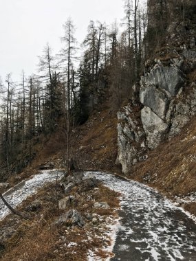 Kehlstein dağın, Berchtesgaden, Bavyera, Almanya için yol