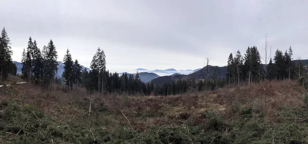 Panoramaudsigt Fra Kehlstein Bjerget Berchtesgaden Bayern Tyskland - Stock-foto