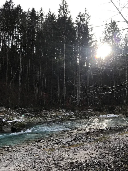 Dağ Nehir Konigsseer Sızı Berchtesgaden Milli Parkı Bavyera Almanya — Stok fotoğraf