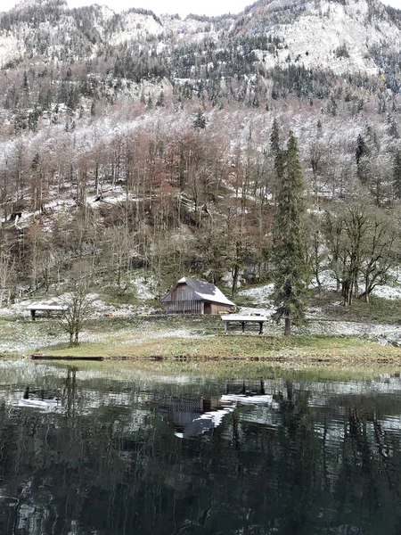 Ліс Гора Березі Озера Koenigssee Баварія Німеччина — стокове фото