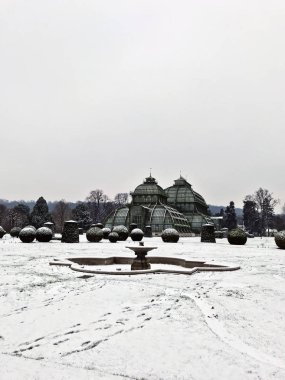 Palm Pavilion Schonbrunn parkta kış aylarında, Viyana (Wien), Avusturya