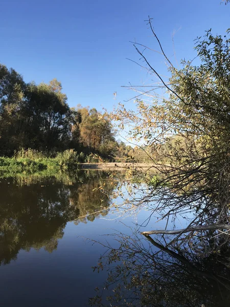 Zomer Landschap Met Rivier Teteriv Oekraïne — Stockfoto