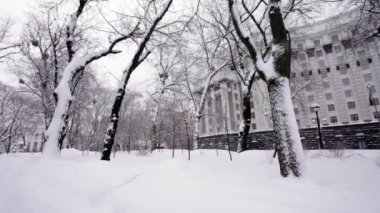 Kabine bakanları, Ukrayna kışın, Kyiv