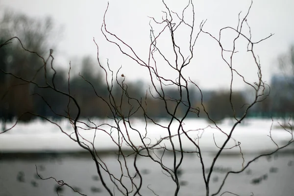 Moody Nublado Dia Inverno Lago — Fotografia de Stock