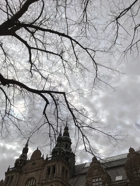 Nordic Museum Nordiska Museet See Branch Tree Stockholm Sweden — 스톡 사진