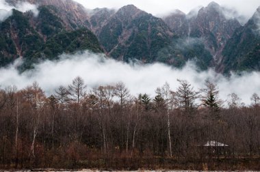 büyük sonbahar sezonu renkli yaprak ve güzel peyzaj kamikochi, Japonya