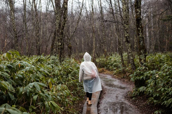 büyük sonbahar sezonu renkli yaprak ve güzel peyzaj kamikochi, Japonya