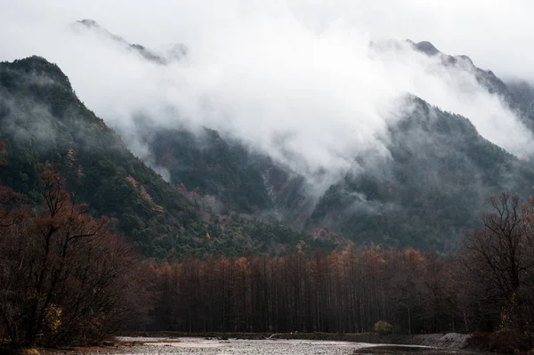 büyük sonbahar sezonu renkli yaprak ve güzel peyzaj kamikochi, Japonya