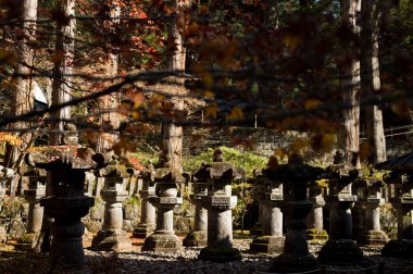büyük sonbahar sezonu renkli yaprak ve güzel manzara nikko dünya mirası, Japonya