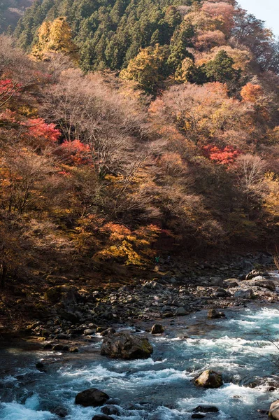 Grande Outono Temporada Folha Colorida Bela Paisagem Nikko Herança Mundial — Fotografia de Stock