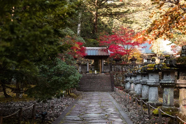 Grande Saison Automne Feuille Colorée Beau Paysage Nikko Patrimoine Mondial — Photo