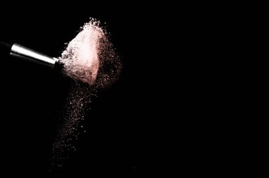 Yıl, toz sıçrama ve makyaj sanatçısı için fırça rengi veya 