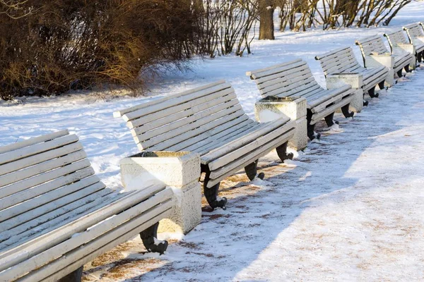 kış peyzaj Park geri kalanı için boş banklar ile bulunan bir satırda birbiri ardına
