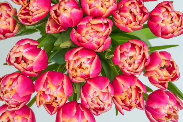 Nahaufnahme Eines Straußes Roter Tulpen — Stockfoto