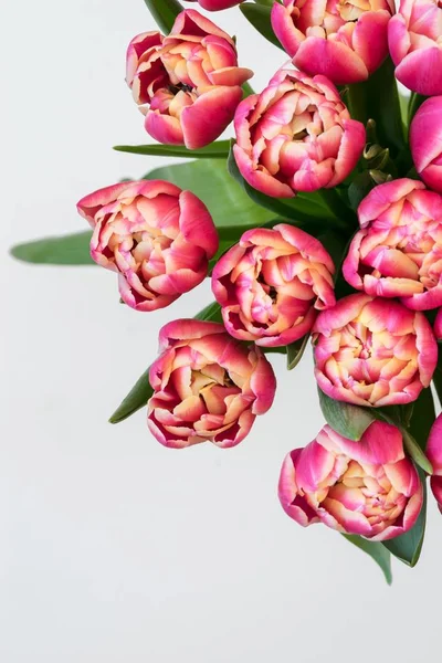 Nahaufnahme Eines Straußes Roter Tulpen — Stockfoto