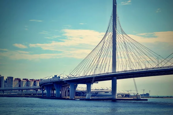 Μεγάλο Σύγχρονο Καλωδιωτή Γέφυρα Πάνω Από Τον Ποταμό Στον Κόλπο — Φωτογραφία Αρχείου