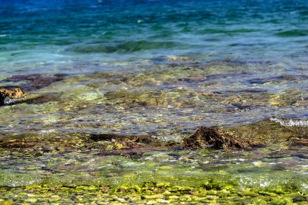 Paysage Marin Une Partie Côtière Avec Fond Pierreux Gros Plan — Photo