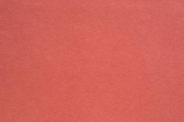 doku kağıt veya diğer malzeme taşımak için bir arka plan veya duvar kağıdı yaşam için mercan rengi