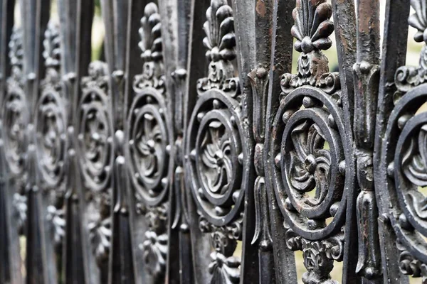 eski antik çit veya figürlü desen portre ile metal çit