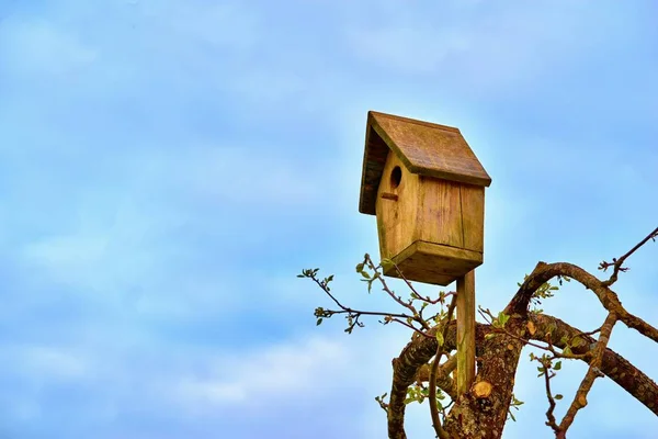 Una casa de pájaros o una cabaña de madera para pájaros sobre el fondo del cielo azul —  Fotos de Stock