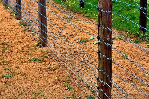 Control border strip or barrier fence