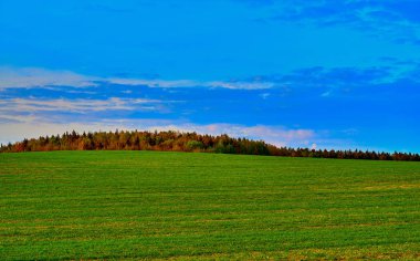 Gün batımında yeşil çayır ile Manzara