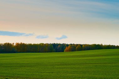 Gün batımında yeşil çayır ve boş gökyüzü ile Manzara