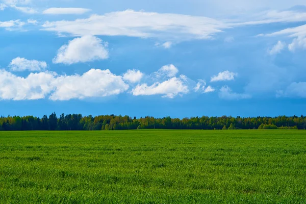 natural landscape of the spacious field and sky